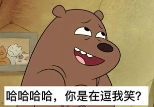 神木驚現(xiàn)“神兔網(wǎng)絡”？警方追查盜竊團伙